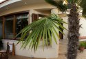2 Villas complex in Athens