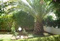 Ano Glyfafa Spacious Apartment Budget for sale