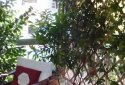 Apartment in Athens 