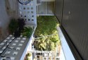 Apartments in Athens North near schools