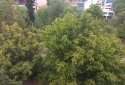 Athens apartment for sale