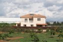 Fassouri Villa in orange groves - Cyprus Property by Gate Greece