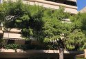 Fully renovated apartment in Glyfada