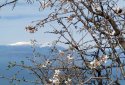 Land for sale with panoramic dreamy view!