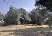 Land  For Sale in Lefkada Island Ref.GPG12762