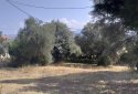 Lefkada Plot for sale with sea view and near the beach