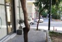 Marina pasalimani apartment for sale
