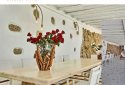 Mykonos Aegean Villas for Celebrities