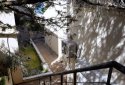 Newly built single complex in Marathon Athens with Sea View