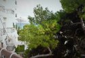 Oceanidon street Varkiza Apartment for sale