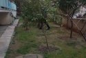 Palaio Faliro apartment for sale