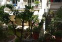 Petralona Athens Budget Apartment for Golden Visa Greece