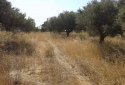 Plot with sea view - Akrotiri