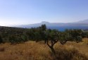 Plot with sea view - Akrotiri