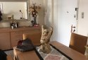 Sepolia apartment for sale