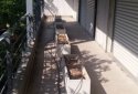 Spacious Apartment in Filothei