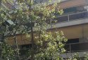 Spacious apartment  just 100 meters away from Flisvos marina
