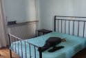 Spacious penthouse apartment with great views in a beautiful central area