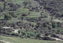 St. Peter's Garden Land for Sale in Andros Island
