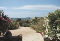 St. Peter's Garden Land for Sale in Andros Island