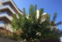 Vouliagmeni Deluxe Penthouse for sale