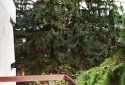 Vyronas apartment for sale